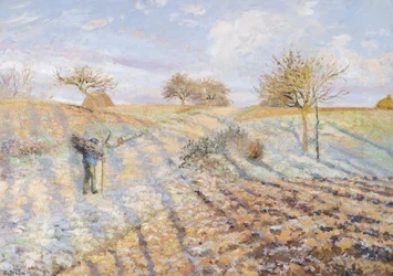 Weißer Frost, 1873